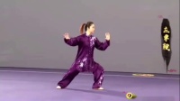 武氏太极拳（邱慧芳）下载