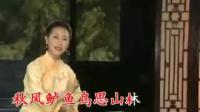 黄梅戏《风雨丽人行》