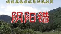 反修 皖南花鼓戏《阴阳错》全本