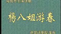 评剧《杨八姐游春》全剧 沈阳评剧院演出下载