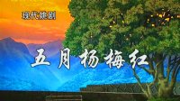 姚剧《五月杨梅红》