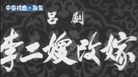 吕剧艺术片《李二嫂改嫁》下载