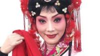 山东莱芜梆子戏曲片《借闺女》下载