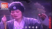 湖南花鼓戏《三杀生身母》下载