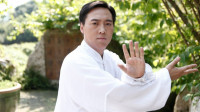 陈式太极拳老架一路陈斌老师完整教学版(下集)下载