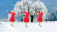 广场舞《伤心的雪花》伤感动听简单好看附教
