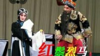 扬剧《红鬃烈马》上集  扬州市扬剧团演出