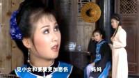 黄梅戏《孤儿寡母好伤心》上前我把婆婆喊 