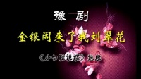 豫剧伴奏《小白鞋说媒》《金银阁来了我刘翠