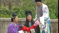 庐剧《假儿子真孙子》第3集下载