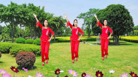 广场舞《再叫一声亲爱的真的好想你》欢快舞步附教学下载