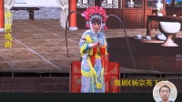 豫剧《杨七娘》又名《杨宗英下山》濮阳市实