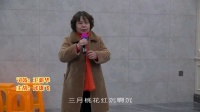 姚剧《三月桃花红沉沉》下载