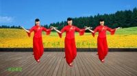 小慧广场舞《社员都是向阳花》优美畅快轻松