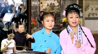 安徽庐剧《王三姐》三丫头走出王府再也不回