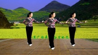广场舞《山谷里的思念》简单优美大气