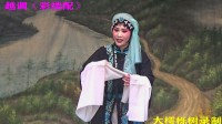 越调《彩楼配》选段 薛郎他昨日去领赏
