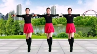 唐江舞动人生广场舞《桃花朵朵开》正面背面