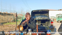 唢呐大神演奏曲剧《刘备哭灵》真像王荣光老
