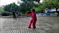 陈式太极拳老架一路下载