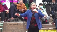 越调《铡郭松》选段