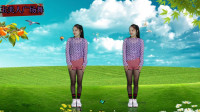 广场舞《心上人呐》零基础动感舞步真不错