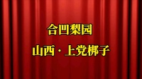 上党梆子《三娘教子》选段 你大娘张家女见