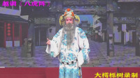 越调《八虎阵》选段 自古道伴君如伴虎