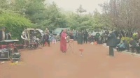 京东大鼓《跟着党走步步高》