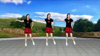 广场舞《九九艳阳天》32步老歌新跳正面教学