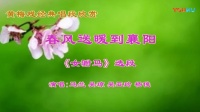 黄梅戏《女驸马》