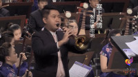 张维维唢呐演奏《塞上风情》好听