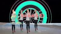 广场舞《白头的月亮》柔美大气好看又好学