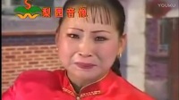 河南坠子《后妈无情妹有情》全集