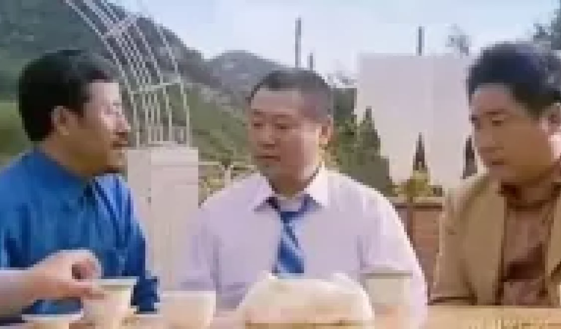 落叶2下载