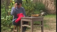 上党鼓书 《母亲》（上下集）下载