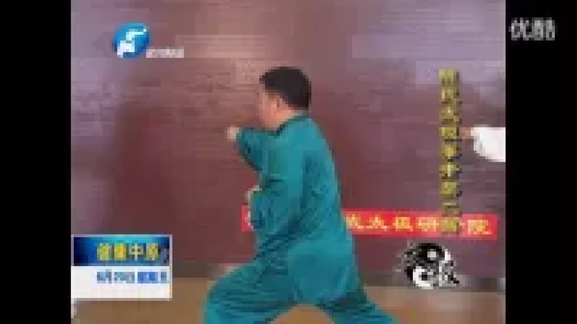 张东武陈氏太极拳老架二路完整教学视频下载