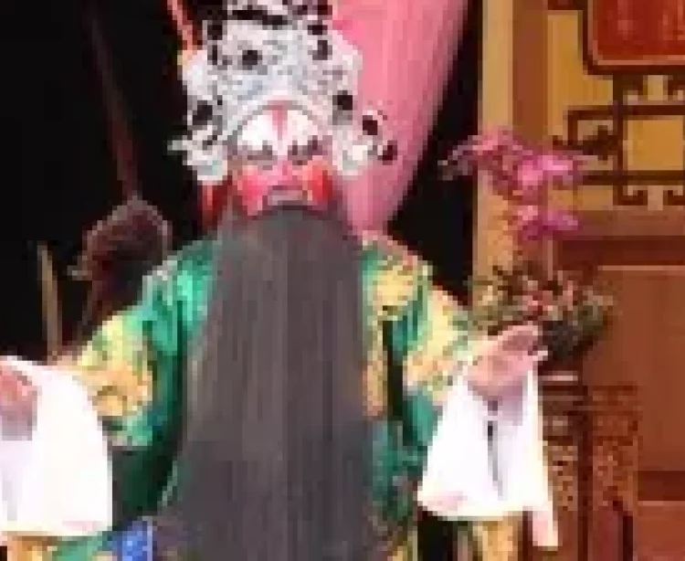 高甲戏《五虎平南》全集（中部）