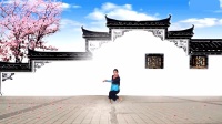 张春丽广场舞《凉凉》正背面演示与分解教学下载