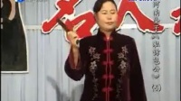 河南坠子《仁宗私访》全本