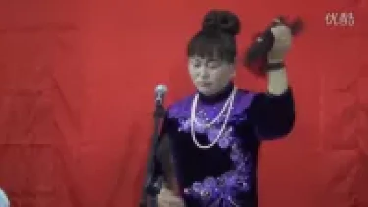 琴书《梅花传》全本下载