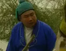 河南坠子《回龙传 王华买爹》1至8集合并