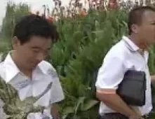 安徽民间小调《富翁与小姐》