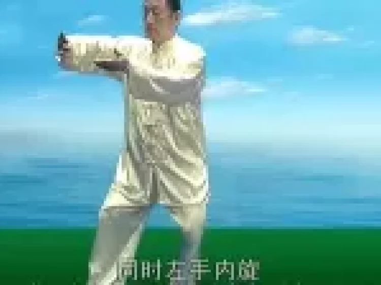 太极拳十三式教学视频下载