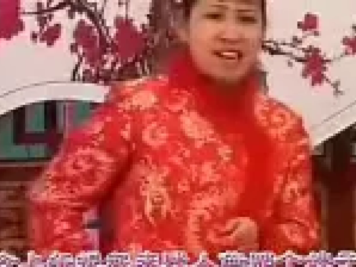 河南坠子《三打四劝》全场