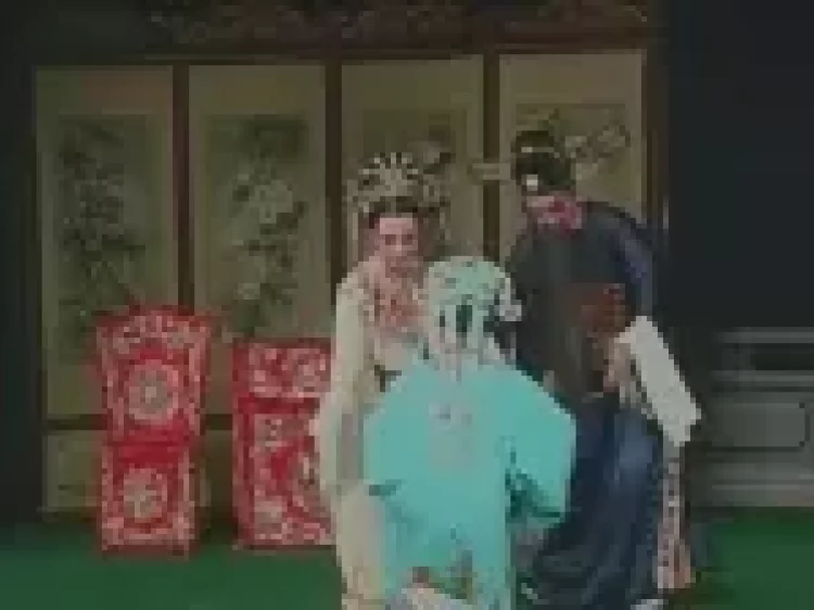 白字戏《杨天梅》全剧