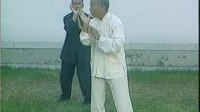 王培生三十七式太极拳（完整版）下载
