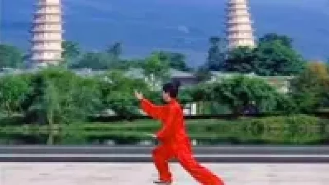 杨式40式太极拳分解教学下载