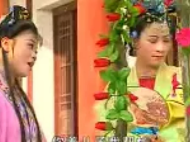 庐剧《苦妈妈》 电视版下载