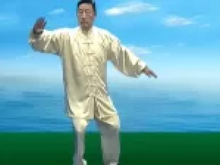 最全陈氏太极拳基本功教学教学全集下载